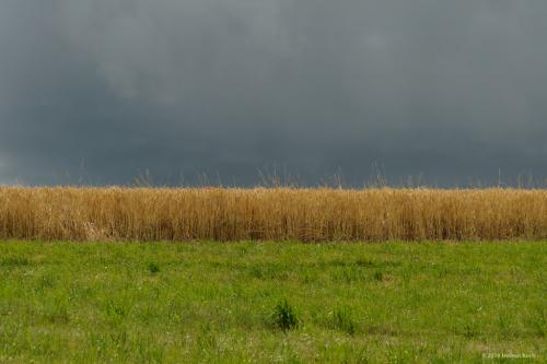  D3S4271